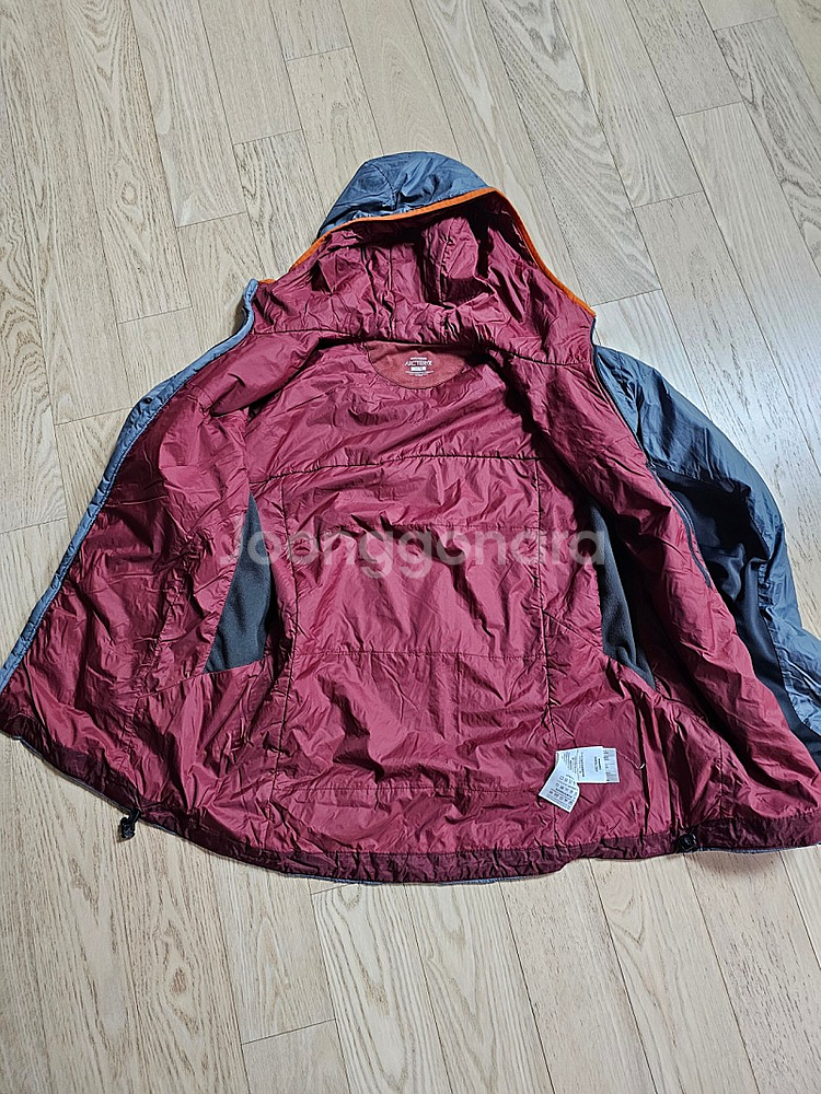 아크테릭스 APHIX HOODY--3