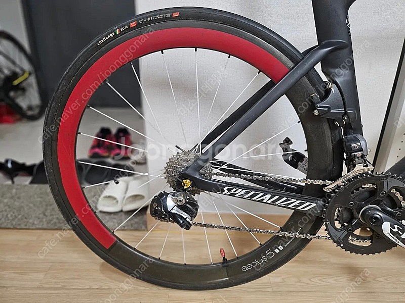 에스웍스 벤지 바이아스 54--3