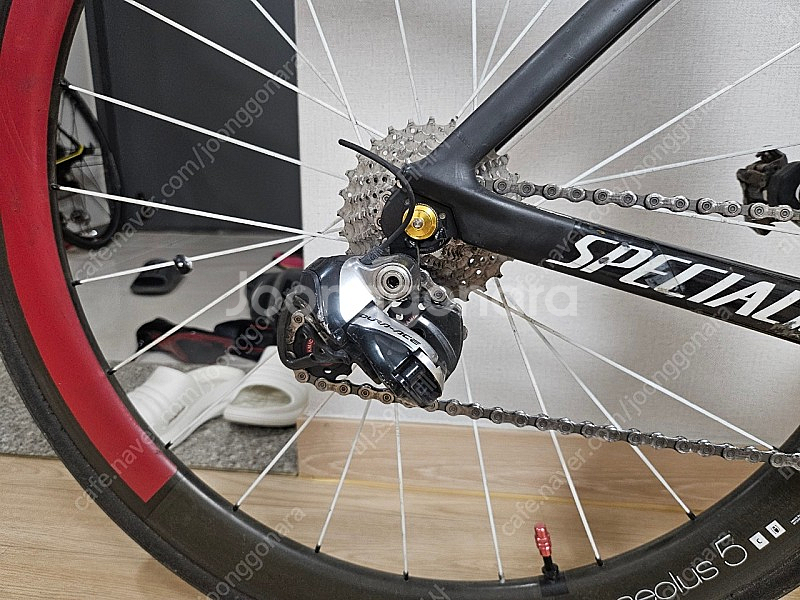 에스웍스 벤지 바이아스 54--7