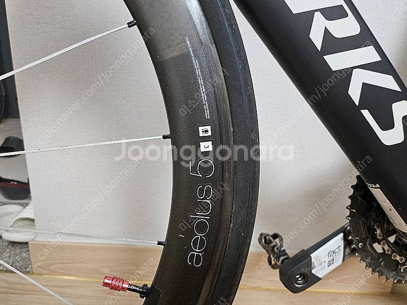 에스웍스 벤지 바이아스 54--8