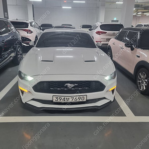 머스탱/Mustang 2.3 Coupe 19년식 순정 / 흰색 / 4.9만km 팜