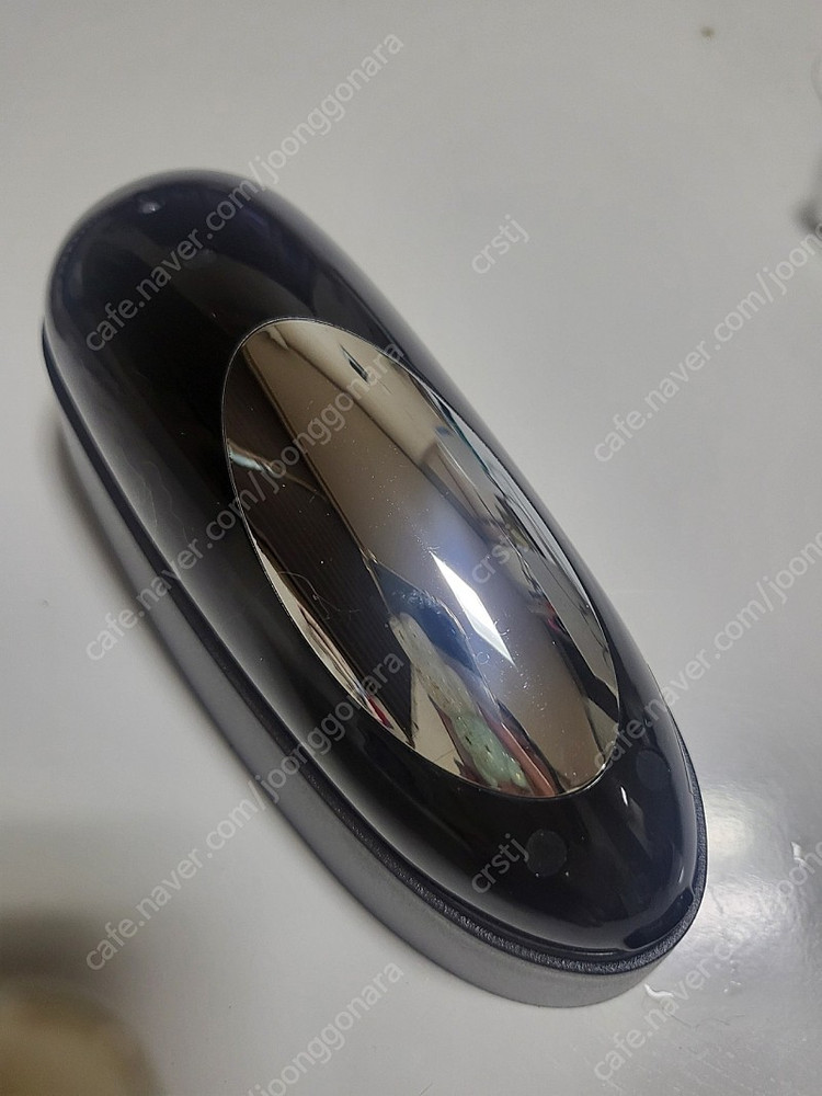 엔블리 갈바닉--2