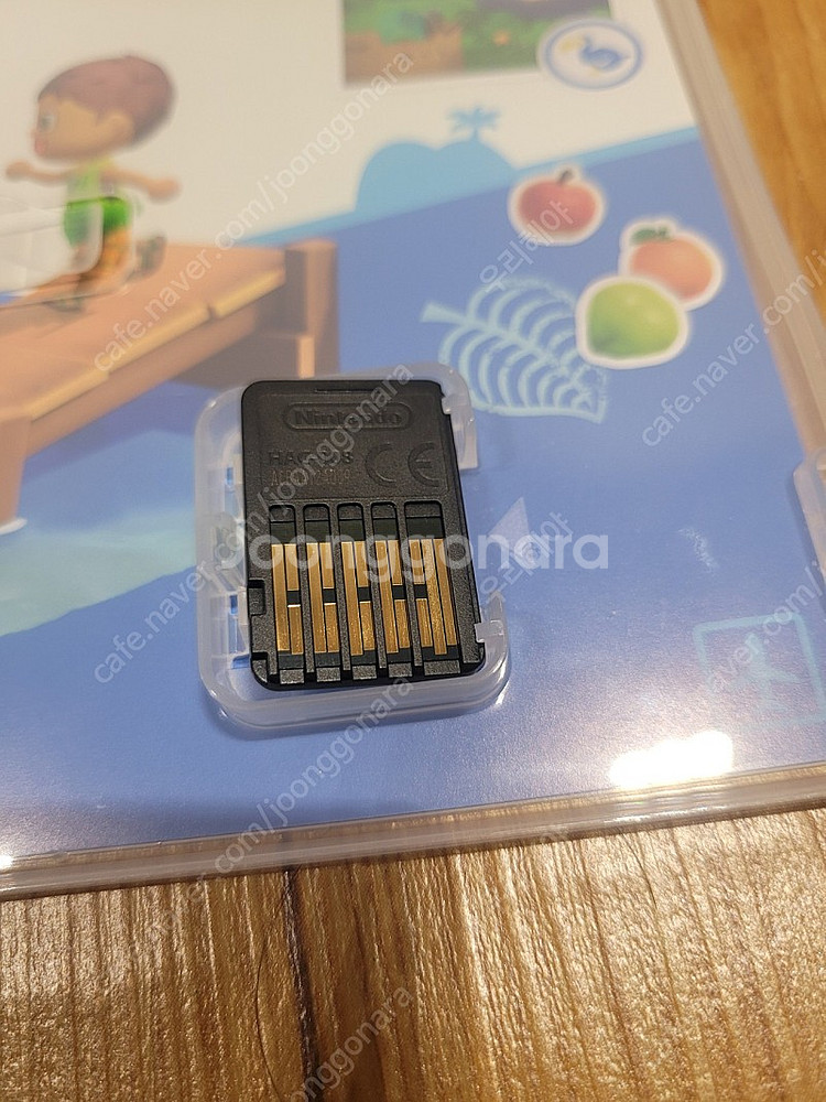 닌텐도 스위치 동물의숲, 닌텐도 스위치 아르세우스,--5