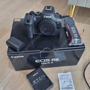 캐논 EOS R6 Mark II (944컷)