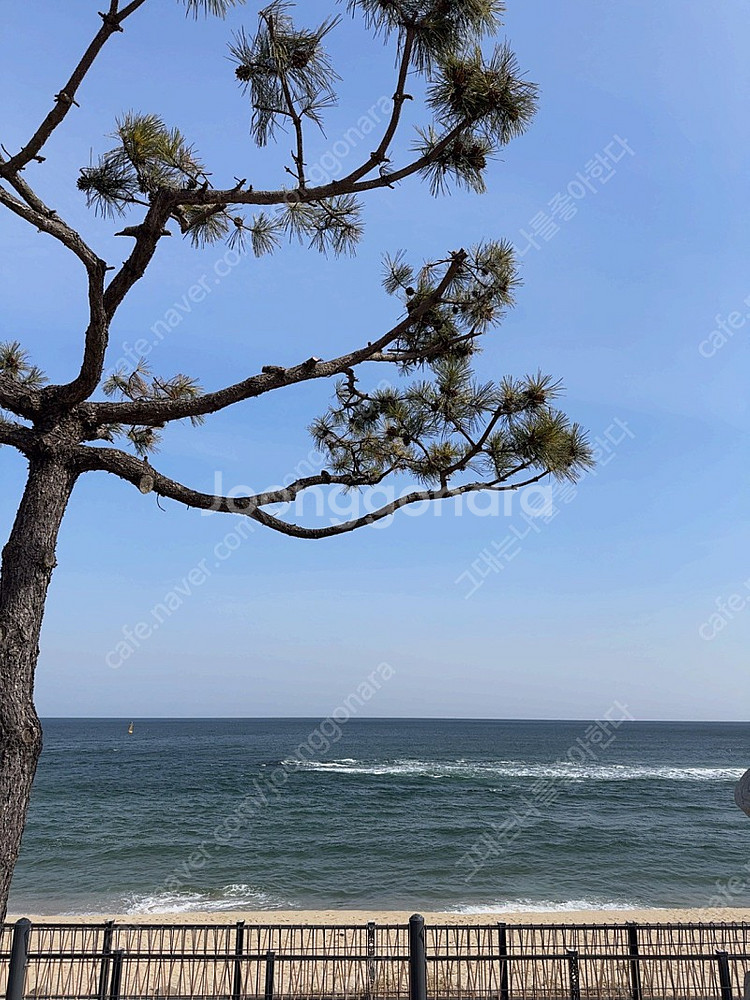 야놀자22400(80퍼)에 구함--0