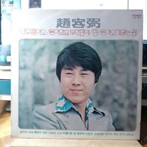 조용필 Lp. 양희은 LP, 최백호 Lp, 김세화.최병걸 Lp, 윤복흐;,윤항기 Lp, 이은하 Lp, 송창식 Lp, 감만수 LP 판매