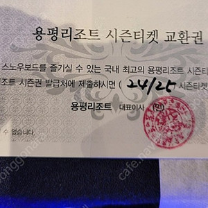24/25 용평시즌교환권 팝니다