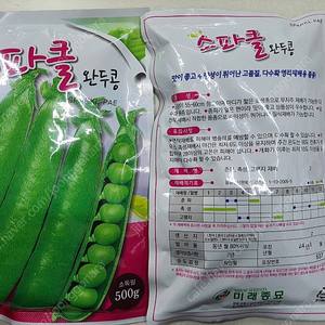 완두콩종자(씨앗) 500g 내놓아요...