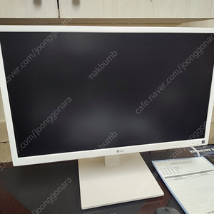 LG 24BK550YW