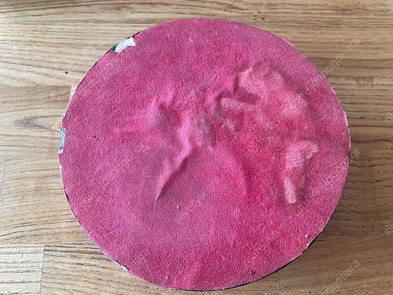 장식품 브라질 피라냐 박제 전시품--1