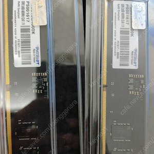 patriot 4800 ddr5 8기가x2