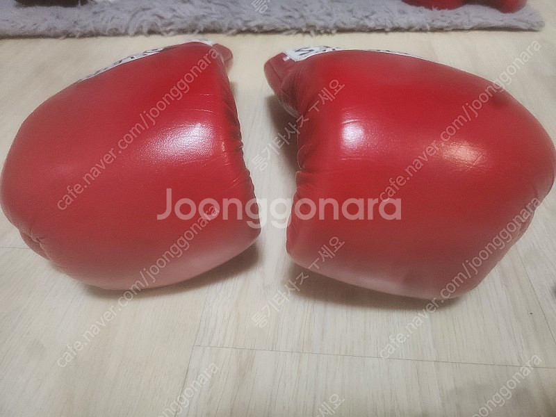 클레토레예스 세이프텍 10온스 복싱글러브 클래식 레드(...--2
