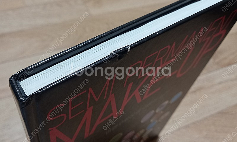 반영구화장의 이론과 실기 SEMI PERMANENT M...--1