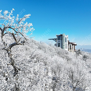 (4월5월) 단양 청송 경주 여수 천안 덕구온천 대천 등