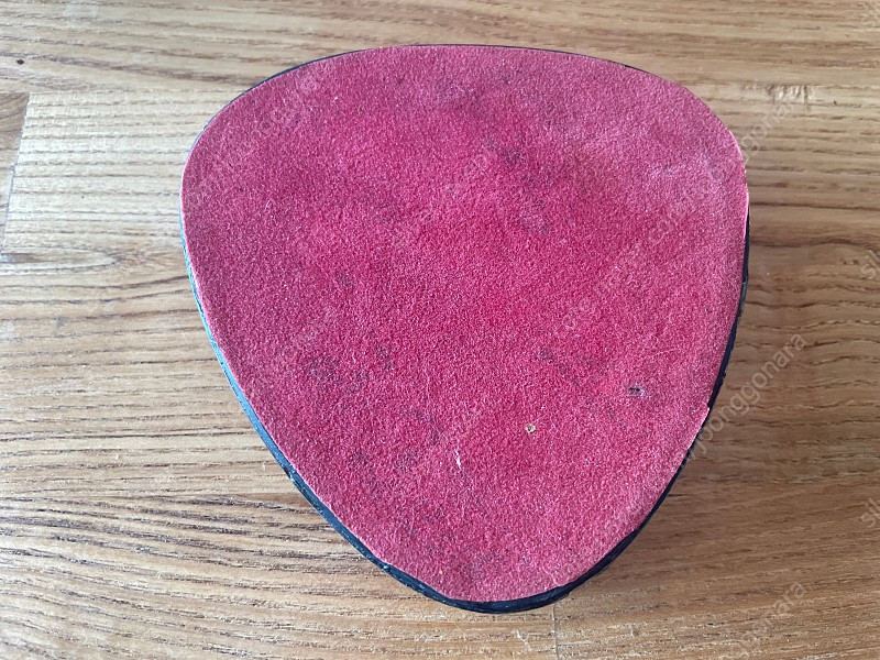 브라질 나비 박제 전시품--1