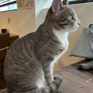 여기어때30,000원 (80퍼)에구해요