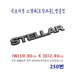 (250번) 극초기형 스텔라(STELLAR)_엠블럼