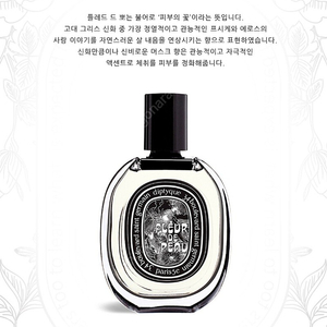 딥디크 플레르드뽀 오드 퍼퓸 75ml