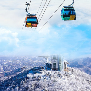 용평리조트~조식뷔페권~발왕산케이블카왕복권~바로사용 모바일티켓