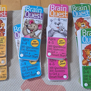 brain quest 브레인 퀘스트