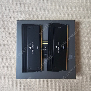 커세어 도미램 플레티넘 32GB