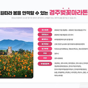 경주벚꽃마라톤 하프코스 남자 배번 구합니다.