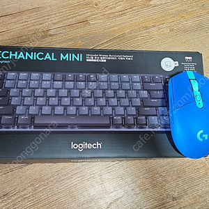 로지텍 mx mechanical mini & g304