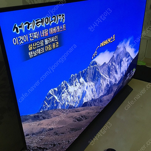 LG OLED EVO 48C2ENA급매