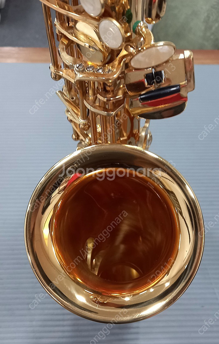 셀마카피 알토색소폰--1