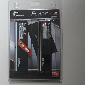 지스킬 DDR5 6000 CL36 FLARE X5 J 패키지 (32GB(16Gx2)) EXPO