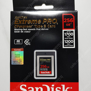 sandisk cfe b 샌디스크 cfe b 256g 팝니다