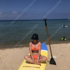 ​4월6토 쏠비치삼척 쏠비치진도 쏠비치양양 쏘노캄거제 대명호텔리조트