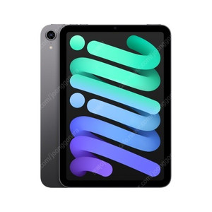 아이패드미니6 256GB WIFI 스라(택포)