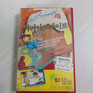 에로틱 청춘 코메디 쉐리 로즈/제임스 써머 주연 써머 아르바이트 (원제 : Summer Job)(1989)비디오 테이프