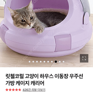 리첼 우주선 이동장겸 강아지 고양이 은신처 두개