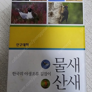 한국의 야생 조류 길잡이 물새 산새
