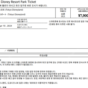 04/10 디즈니랜드 도쿄