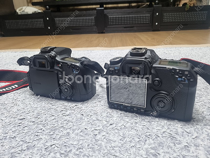 캐논 eos 60d와 40d 바디만--0