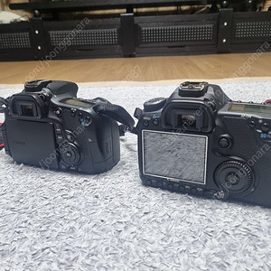 캐논 eos 60d와 40d 바디만