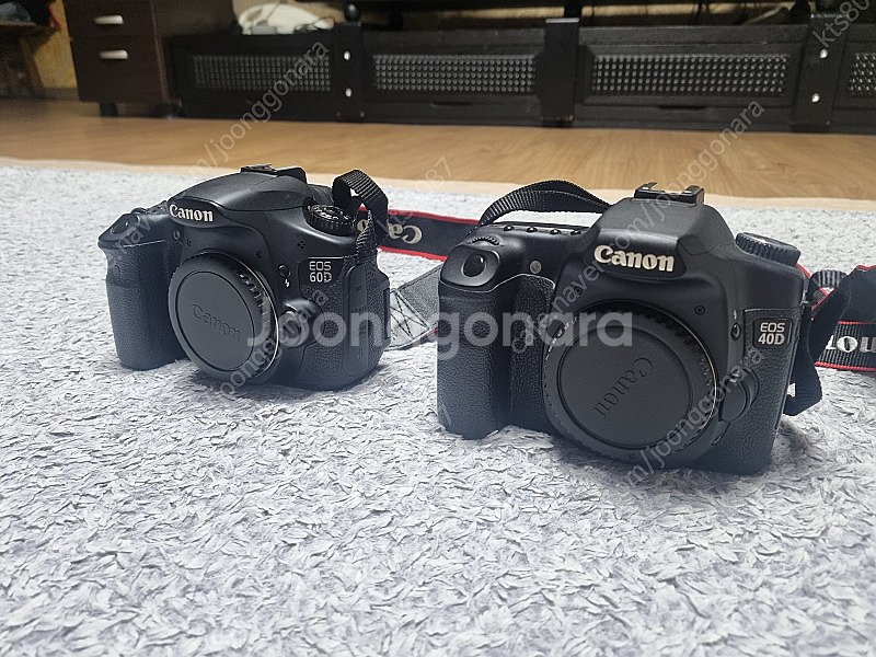 캐논 eos 60d와 40d 바디만--1