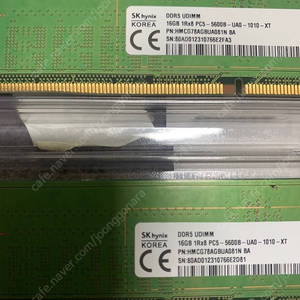 DDR5 5600 하이닉스 A다이 언락 081n 16gb x2 총 32gb