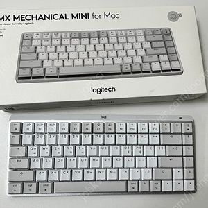 mx mechanical mini for mac