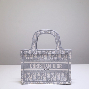 Dior 디올 mini book tote 북토트 미니