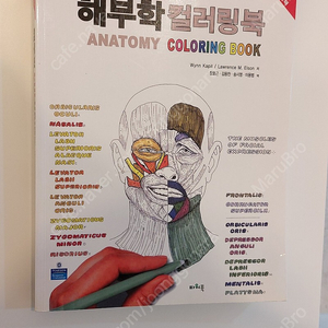 해부학 컬러링북(파워북) 팝니다.