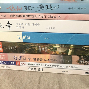 일괄 산나리 피는 들 모롱이 / 공감과 치유 6집 / 그 곳, 시 마음과 마음 사이를 거닐다 / 시클 / 시와 반시 2022. 가을호 / 합강의 땅, 함안을 노래하다 / 책과 인생