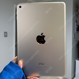 iPad mini 4 아이패드 미니 4 64G