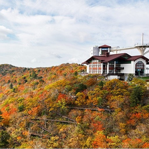 ​​용평~피크아일랜드 딥다이브 조식부페 춘천삼악산/발왕산케이블카