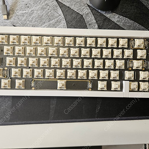 KBDFANS D65 화이트