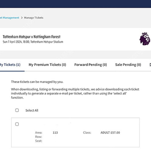 토트넘 4/7 노팅엄전 1층 티켓 양도합니다