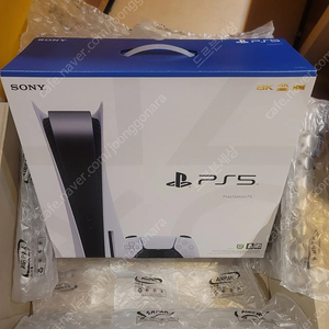 ps5 디스크버전